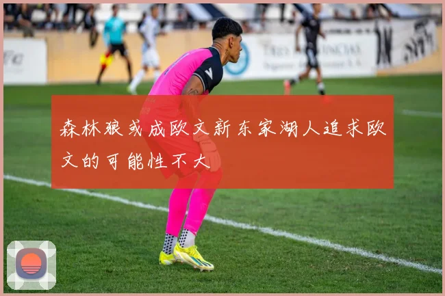 森林狼或成欧文新东家湖人追求欧文的可能性不大